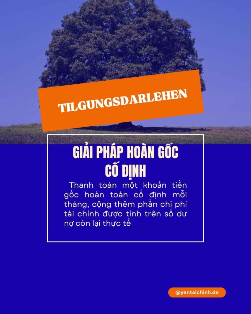 Tilgungsdarlehen - Giải pháp hoàn gốc cố định tại Đức
